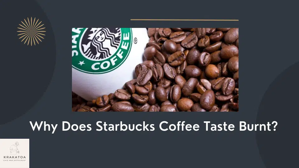 Why Does Starbucks Coffee Taste Burnt